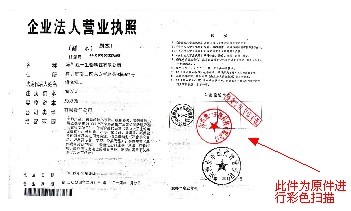 南沙网站建设 营业执照范本